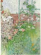Carl Larsson stott- flicka vid spalier oil painting reproduction